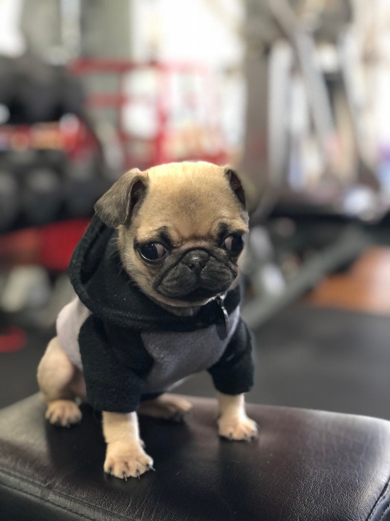 Custom Dog clothes name embroidery in Fleece Raglan Hoodie 7 Etsy