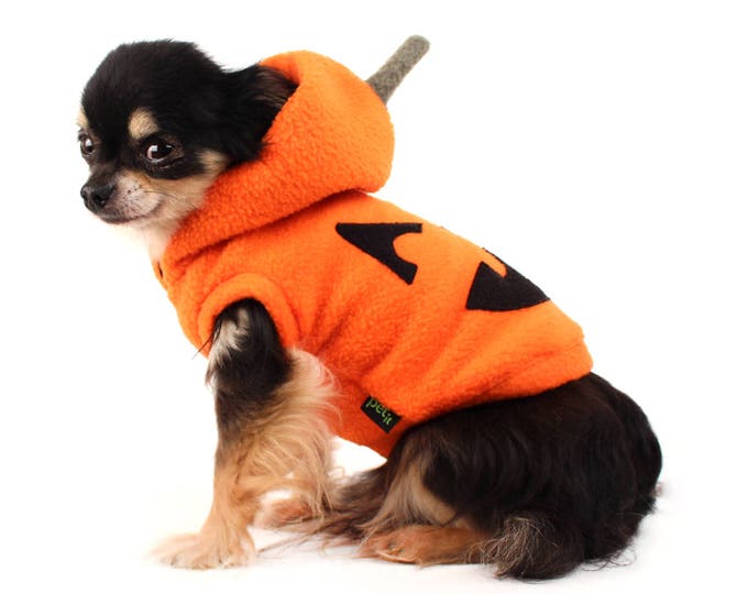 Dog Costume Pumpkin Dog Costume for Halloween Jack O Lantern Etsy