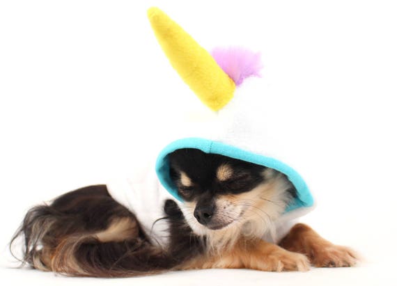 Einhorn Hund