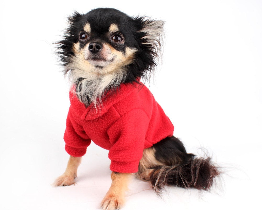 custom dog hoodies