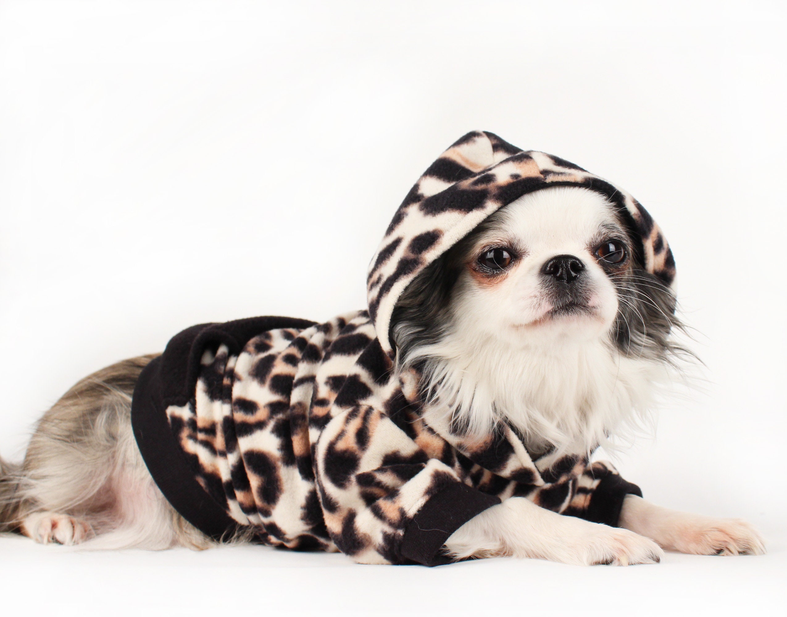 dog sweaters american eagle