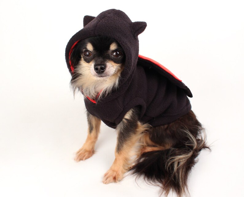 Dog Costume Pokemon Pokeball dog costume Halloween pokemon dog Etsy