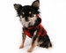 Dog Clothes Red and Black Buffalo Plaid Flecce fleece dog hoodie Cute dog coat 