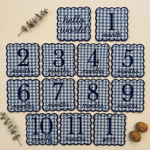 May include: A set of twelve blue and white gingham milestone cards. The cards are scalloped-edged and feature numbers from 1 to 11, plus "hello world" and "1 year". Each card has the word "months" or "year" below the number.
