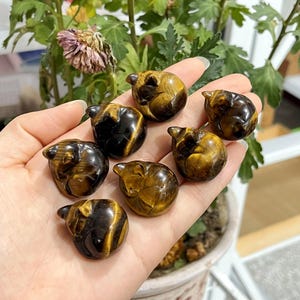 Pode incluir: Uma coleção de sete esculturas de pedra olho de tigre, cada uma em forma de pequeno urso. As esculturas exibem uma mistura de cores marrom dourado e preto, com um acabamento liso e polido. Os ursos são segurados em uma mão, com um fundo desfocado de folhagem verde.