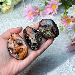 May include: Three polished agate stones with intricate patterns of brown, orange, and white swirls. The stones are oval-shaped and vary in color and design, showcasing natural geological formations. The stones are held in a hand.