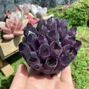 May include: A deep purple amethyst crystal cluster featuring multiple pointed, crystalline structures with a textured, sparkling surface. The mineral specimen displays a rich violet hue and is held in a palm, showcasing its natural geometric formation.