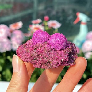 May include: A vibrant pink mineral specimen featuring two spherical clusters atop a textured, reddish-pink base. The mineral is held in a hand, with a blurred background of pink flowers and greenery.