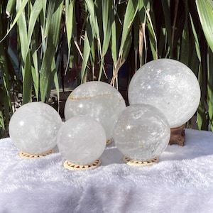 Op de afbeelding: Vijf heldere kwartskristallen bollen van verschillende grootte worden getoond op een wit oppervlak. De bollen staan op kleine, beige, cirkelvormige standaards. Groen gebladerte is zichtbaar op de achtergrond en voegt een natuurlijk element toe aan de compositie.