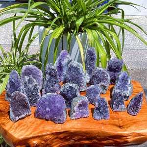 May include: A collection of amethyst crystal clusters in varying sizes and shapes. The crystals display a range of purple hues, from deep violet to lighter shades. They are arranged on a polished wooden surface, with a green plant in the background.
