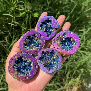 Peut inclure: Cinq moitiés de géodes irisées avec un extérieur violet et doré et un intérieur bleu étincelant. Les géodes sont tenues dans une main sur fond d'herbe verte.