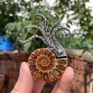 Pode incluir: Uma escultura de polvo prateada é fixada a um fóssil de amonite polido em forma de espiral. O fóssil exibe tons de castanho e bege, com um padrão detalhado. Os tentáculos da escultura curvam-se para cima.