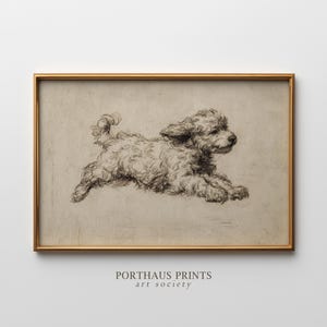 Puede incluir: Un boceto en blanco y negro enmarcado de un perro corriendo. El perro tiene pelo rizado y se representa en plena carrera. El marco es dorado. El texto "PORTHAUS PRINTS art society" está en la parte inferior.