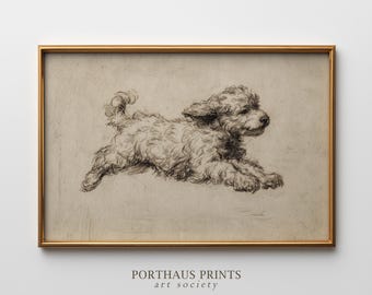 Vintage Golden Doodle Puppy Sketch Print, Antique Running Dog Art, Puppy Zoomies Decor, Dog Lover Gift (Digital Download)