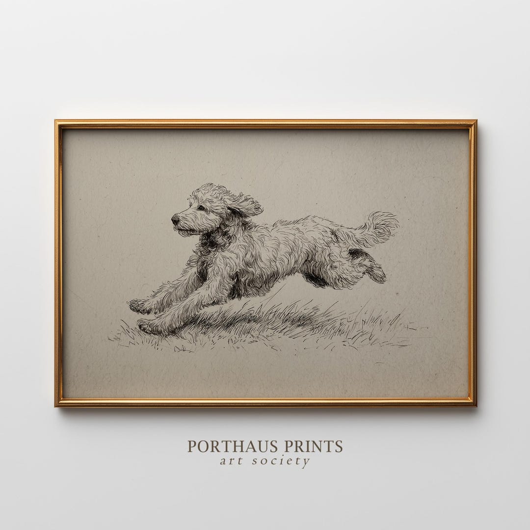 Old Rifle Doodle Vintage Golden Doodle Sketch Print, Antique Running Dog Art, Puppy ...