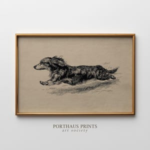 Puede incluir: Una impresión enmarcada con una ilustración en blanco y negro de un perro salchicha corriendo. La obra de arte está sobre un fondo beige y enmarcada en un marco dorado. El texto "PORTHAUS PRINTS art society" está en la parte inferior.
