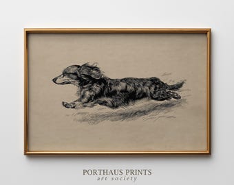 Vintage Running Dog Print, Antique Long-Haired Dachshund Sketch, Puppy Zoomies Art, Dog Lover Gift (Digital Download)