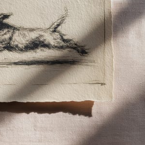 May include: A black and white etching of a dog in mid-stride, with a textured, detailed appearance. The artwork is on a piece of paper with a torn edge, set against a neutral fabric background. The dog's fur is meticulously rendered.