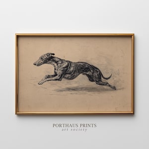 Vintage löpande hundtryck, antik greyhound-skiss, valp Zoomies-konst, hundälskare-gåva (digital nedladdning)