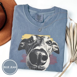 Può includere: T-shirt Comfort Colors blu jeans con un primo piano del muso di un cane. Il cane è in bianco e nero, con pennellate gialle e marroni dietro. Visibili una collana d'argento e un cappello marrone. Il testo "BLUE JEAN" è visibile.