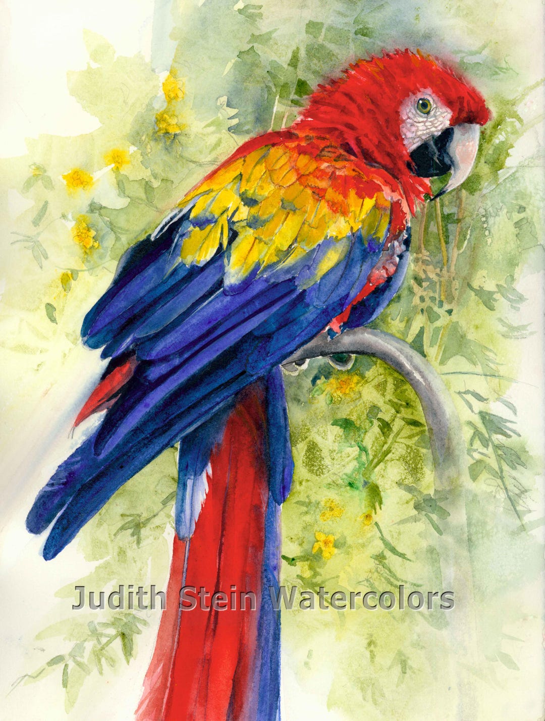 Parrot Zoo Rainforest Bird, Red, Yellow, Blue Parrot in Green Tree Leaves  Watercolor Painting Print, Wall Art, Home Decor, 