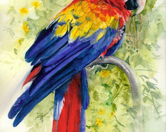 Parrot Zoo Rainforest Bird, Red, Yellow, Blue Parrot in Green Tree Leaves Watercolor Painting Print, Wall Art, Home Decor, &quot;Scarlet Macaw&quot;