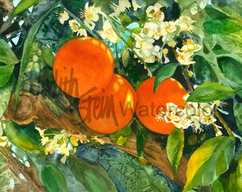 Orange Blossoms, Nectarine, Citrus, Southwest Garden, Orange & Green, Watercolor Painting Print, Wall Art, Home Decor, "Orange Blossom Time"