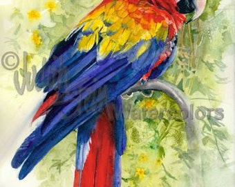 Parrot Zoo Rainforest Bird, Red, Yellow, Blue Parrot in Green Tree Leaves Watercolor Painting Print, Wall Art, Home Decor, "Scarlet Macaw"