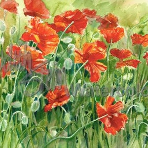 Poppy Flowers in Patio Garden Meadow, Orange, Red, Black, Green Watercolor Painting Picture Print, Wall Art, Home Decor, "Pop Pop Poppies"