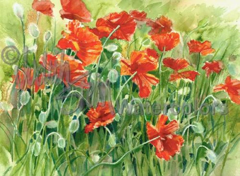 Poppy Flowers in Patio Garden Meadow, Orange, Red, Black, Green Watercolor Painting Picture Print, Wall Art, Home Decor, Pop Pop Poppies image 1