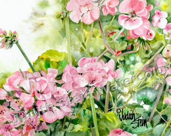 Pink Geraniums, Flowers, Original Watercolor Painting Picture, Wall Art "Geranium Glory"