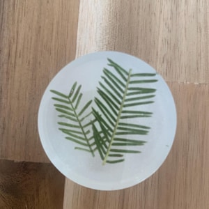 May include: A clear, circular coaster featuring two green pine needles. The coaster is set on a light brown wooden surface. The coaster is a decorative item, suitable for a table.