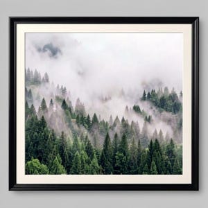 Peut inclure: Une impression encadrée d'un paysage forestier brumeux. L'image présente une dense collection de conifères verts, partiellement cachés par le brouillard. L'impression est encadrée dans un cadre noir avec un passe-partout blanc.