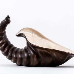 May include: A decorative, horn-shaped bowl with a dark brown, textured exterior and a light beige interior. The bowl has a curved, spiral-like design on one end and a wide, open mouth on the other.