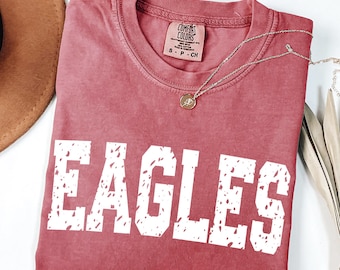 Vintage Eagles Shirt, Comfort Colors Eagles Game Day Shirt, College Spirit Eagle Mascot shirt, Teacher Gameday Shirt, Tailgate Football Tee