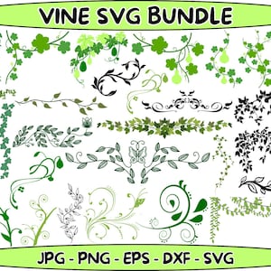 Vine SVG Bundle, Leaf Silhouette, Vector Graphics (Digital Download)