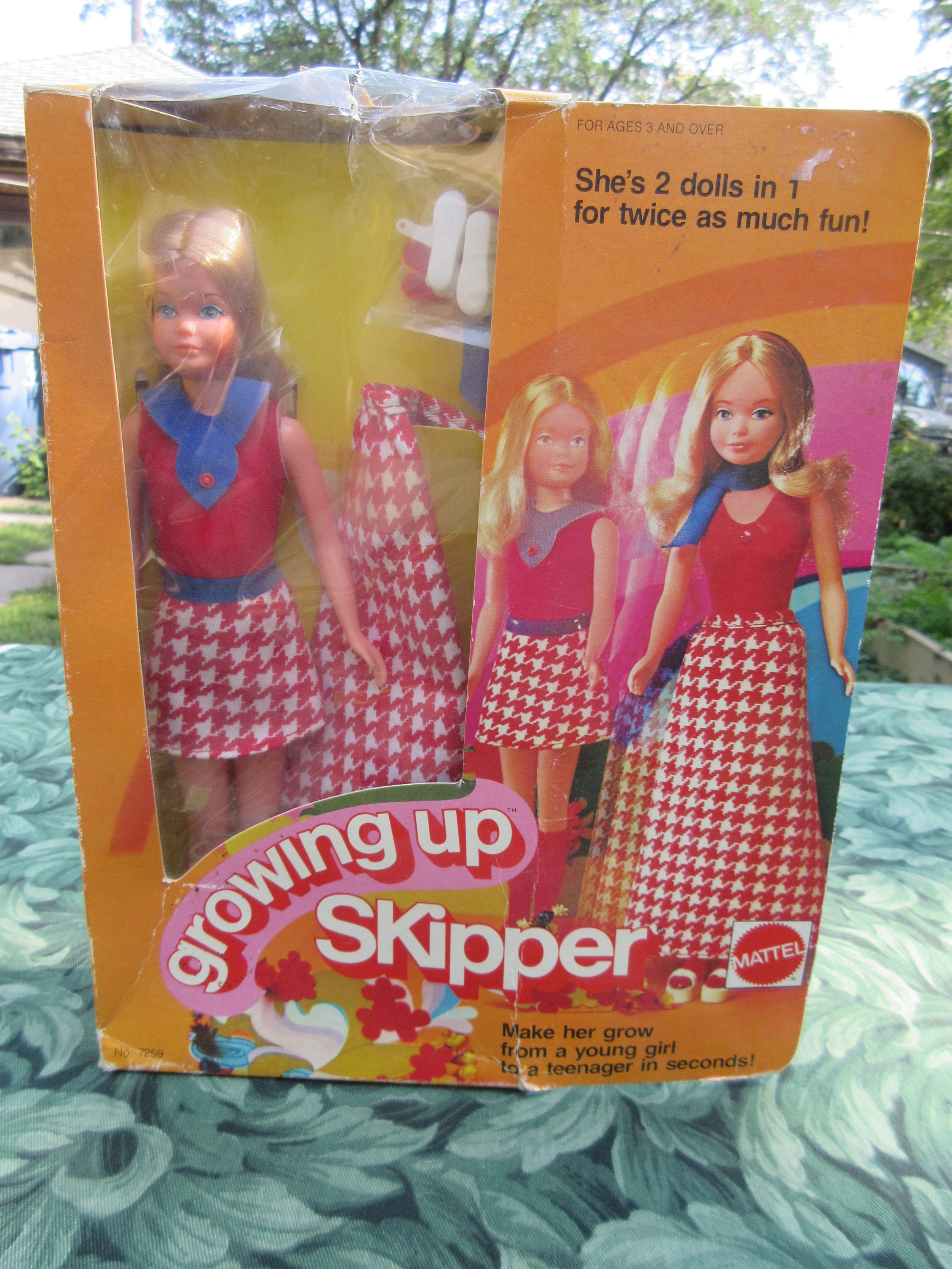 Mattel Vintage 70's Barbie Growing Up Skipper