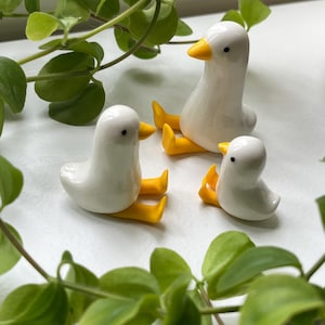 Könnte beinhalten: Drei Keramik-Entenfiguren. Die Enten sind weiß mit gelben Füßen und Schnäbeln. Die Enten sitzen. Der Hintergrund umfasst grüne Blätterpflanzen.