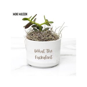 May include: A small, white ceramic pot with the text "What The Fuckulent" in brown lettering, holding a succulent plant. The plant has green leaves and is surrounded by dried moss. The words "MINI MASON" are above the pot.