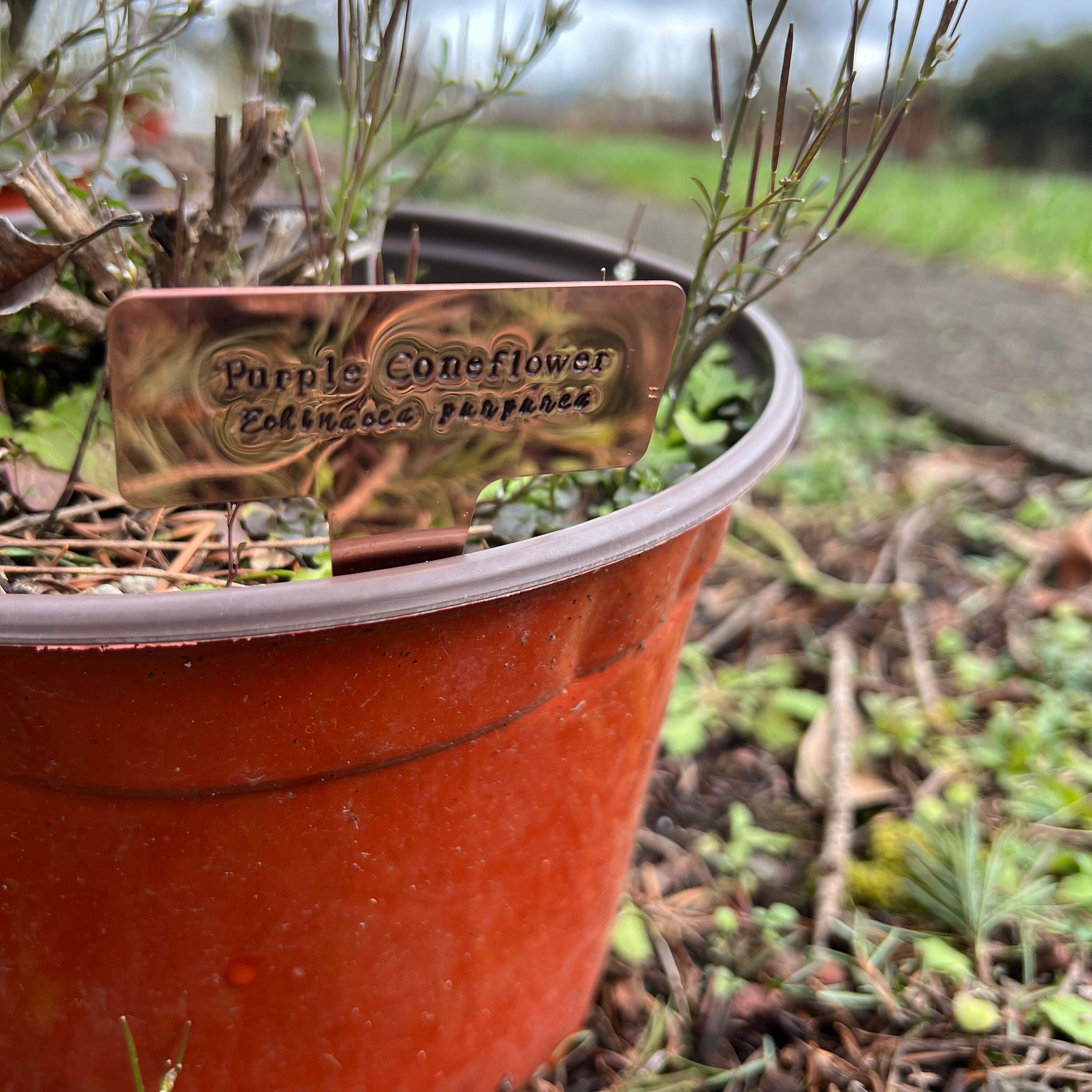 Custom Copper Garden Marker: Hand Stamped Plant Tag, Gardener Gift, view 3