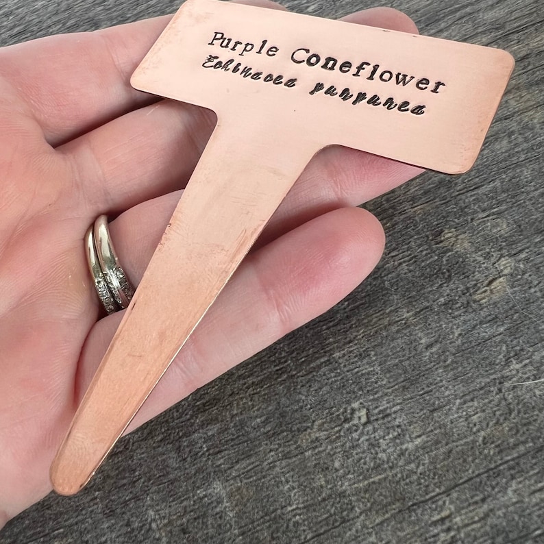 Copper rectangle garden tag. Hand stamped handmade metal plant plaque