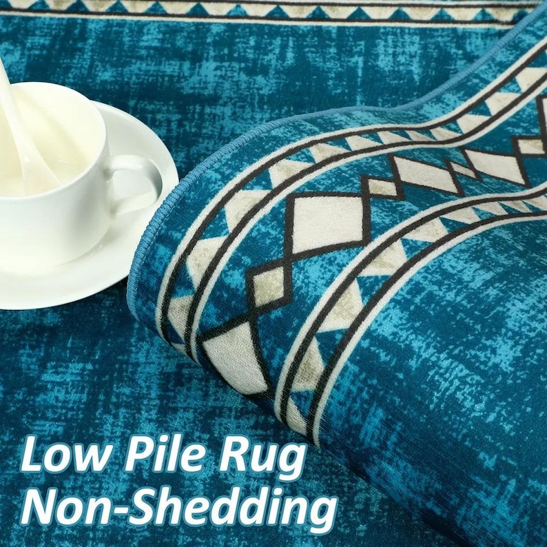 May include: A rolled-up teal low-pile rug with a geometric border design in white, black, and gray. The rug has a distressed texture and the text "Low Pile Rug Non-Shedding" is visible.