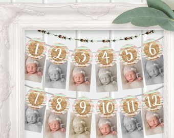 First Year Photo Banner l Wild One l 1 - 12 months l Baby's First Birthday Banner l Pink Gold / Coral Photo Banner l 12 Month Photo Banner
