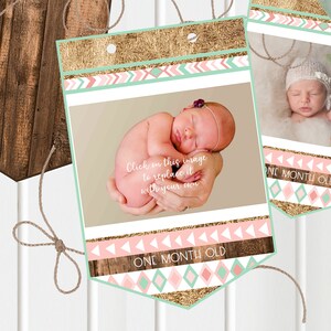 Wild First Birthday Photo Banner - Girls 1st Pink and gold - Wild One Birthday -  Instant Download