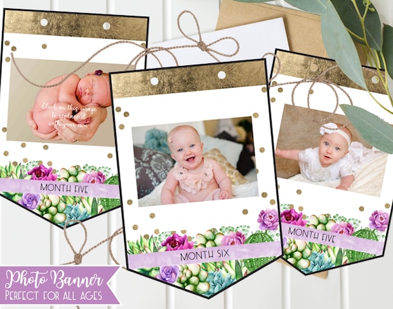 Girls First Birthday Photo Banner 1st Cactus And Purple Floral