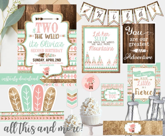 Two 2 Wild Birthday - Pink and Mint - Second 2nd Birthday - Instant Digital Download Il_570xn