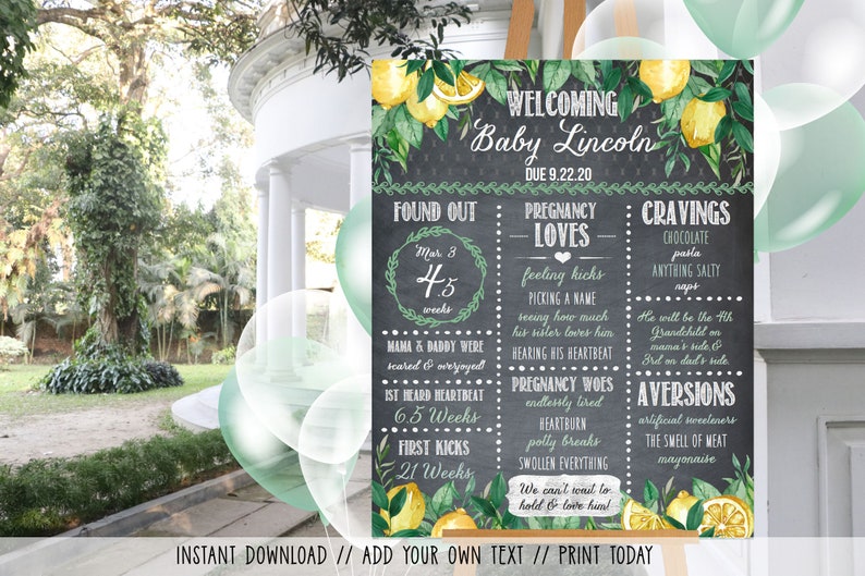 Lemons Baby Shower Pregnancy Chalkboard Printable Drive Thru Parade Shower Decoration Baby Shower Gift Download Instantly LM33