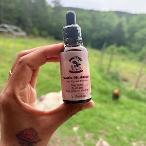 May include: A brown glass bottle of Reishi Mushroom Dual Extract Tincture, held in a hand. The label is pink and white with black text, including "Sleep better, Stress less, Cure seasonal allergies." The bottle contains 1 fluid oz.