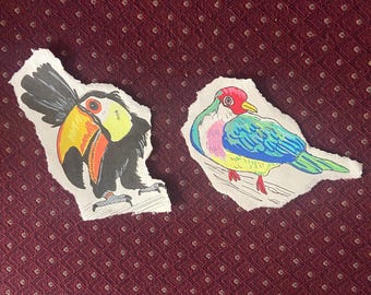 Dibujos de tucanes y palomas frugívoras de jambú realizados con rotuladores acrílicos.