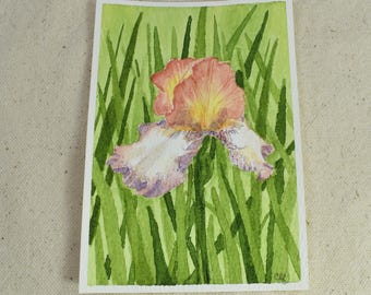 Original Mini Hand Painted Iris Floral Watercolor Painting | Soft Purple Bronze Bloom Art, Garden Wall Decor | Summer Iris